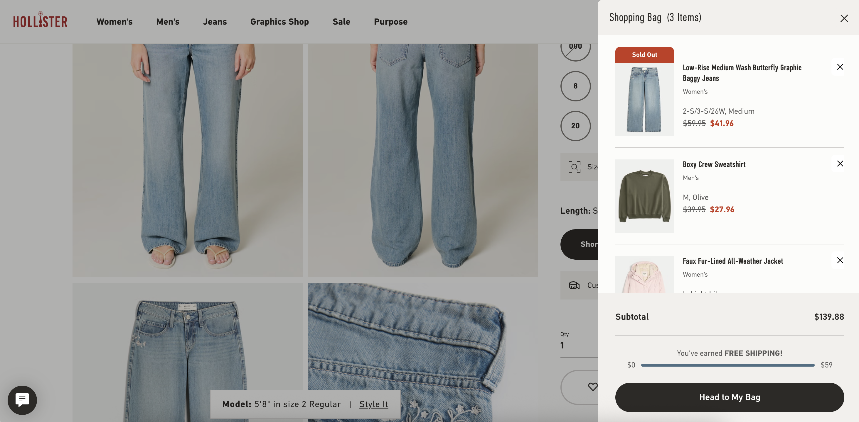 Hollister promo code example