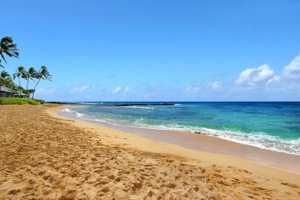 beach